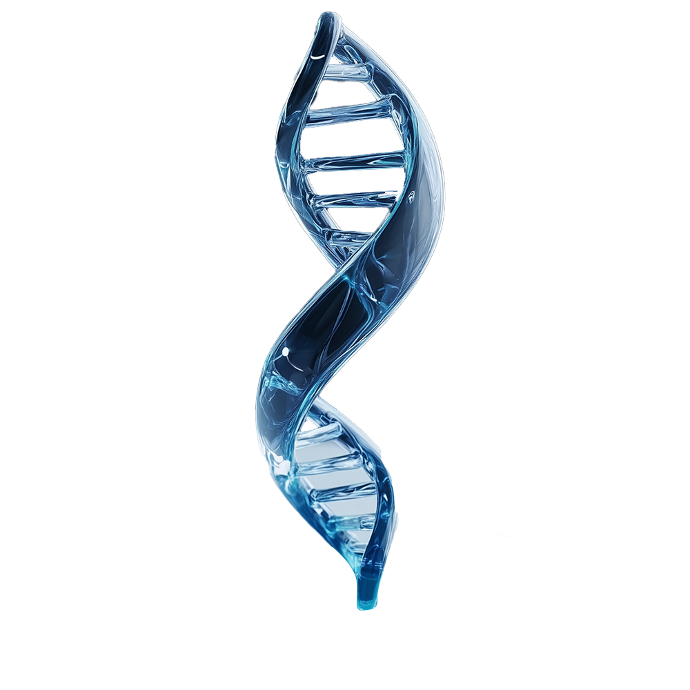 DNA Helix